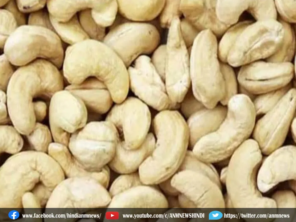cashew