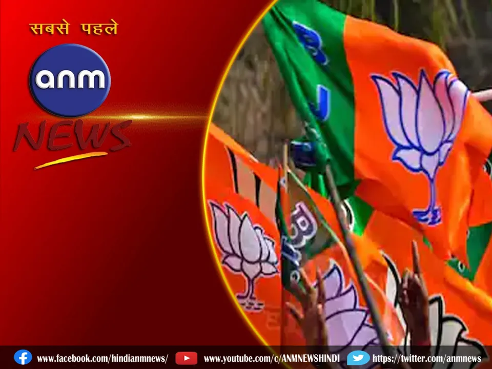 bjp12