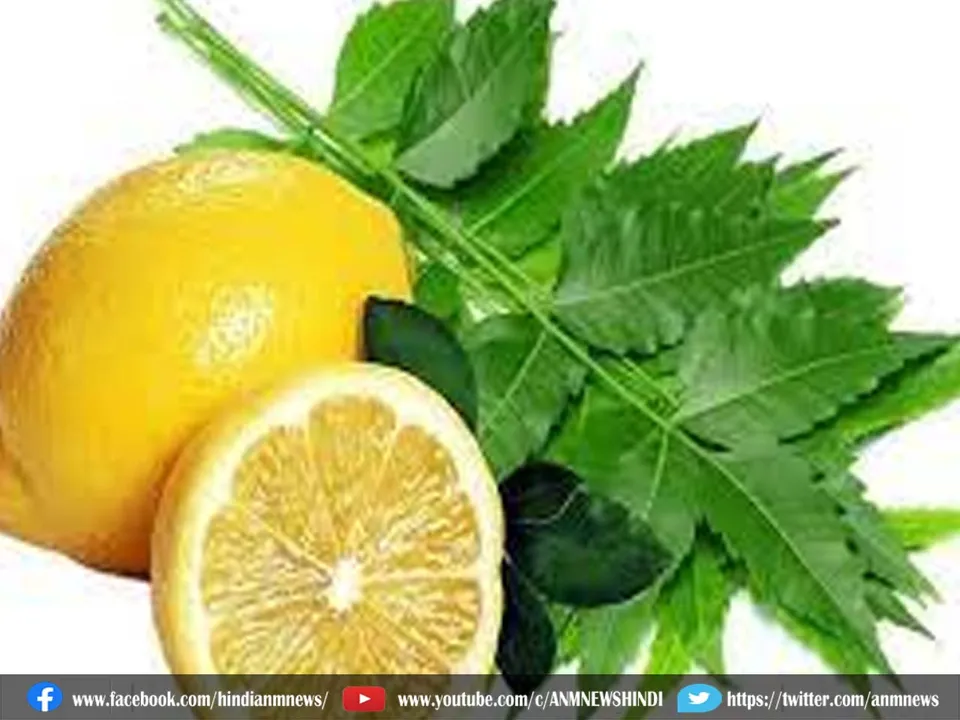 neem and lemon.