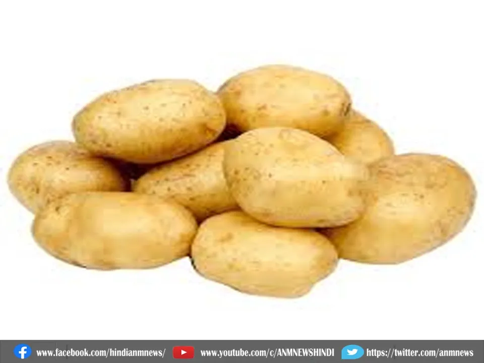potato