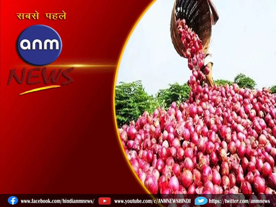 onion export
