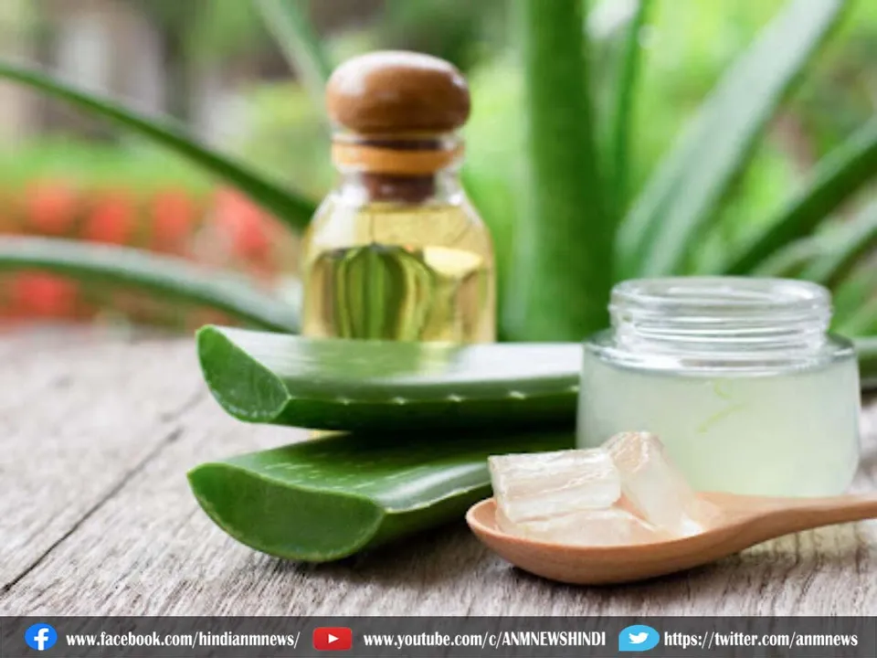 tea tree oil