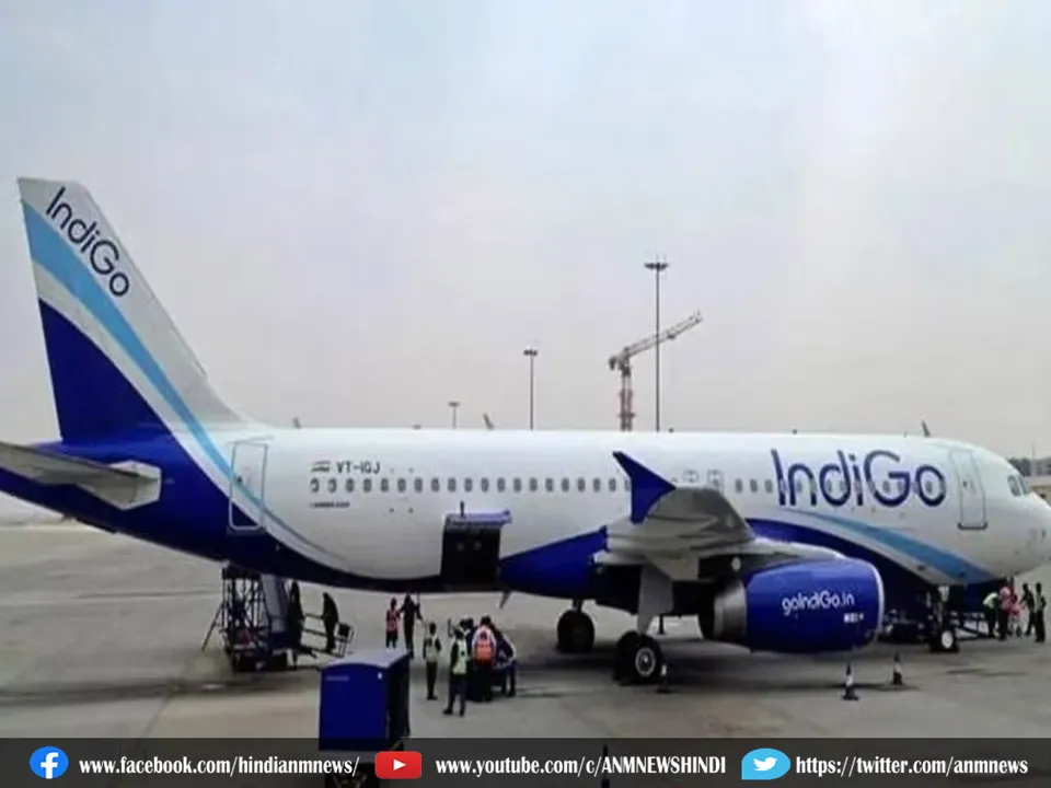 Indigo flight
