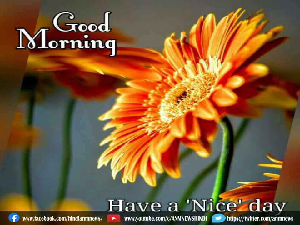 morning