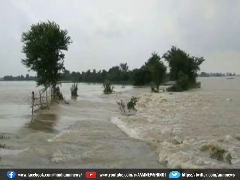 Flood WB.