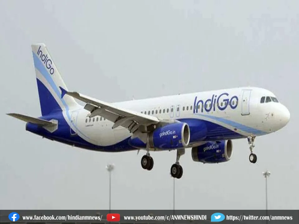 indigo
