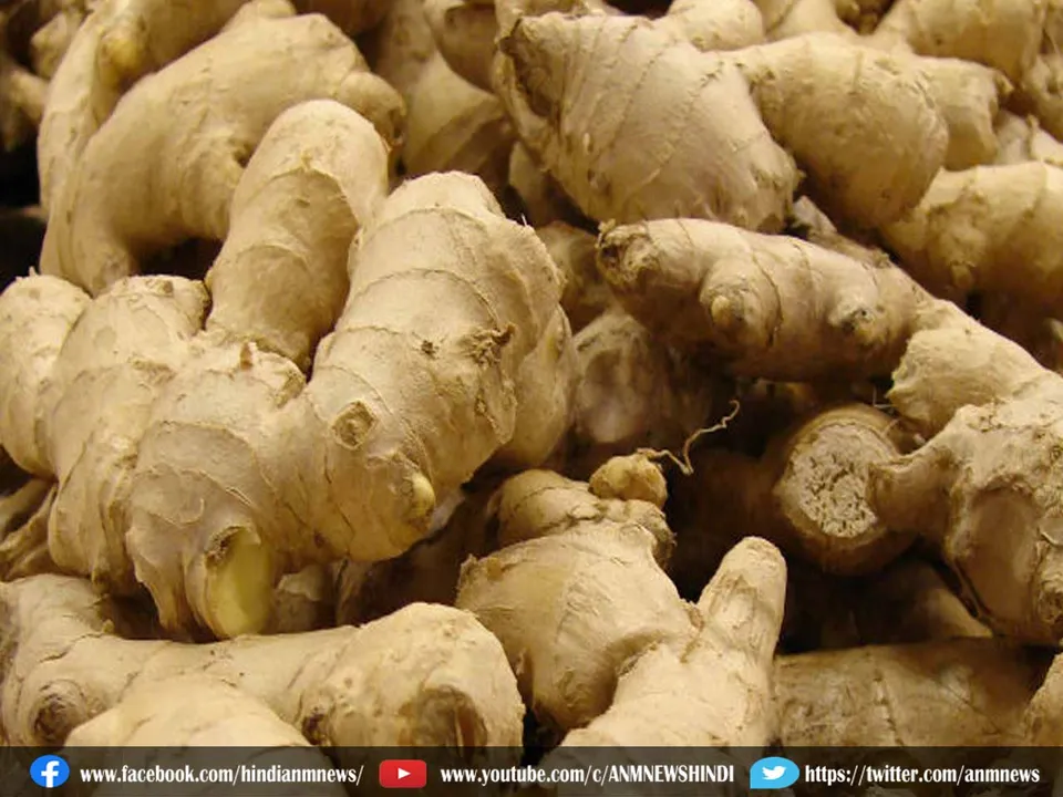 ginger medicine