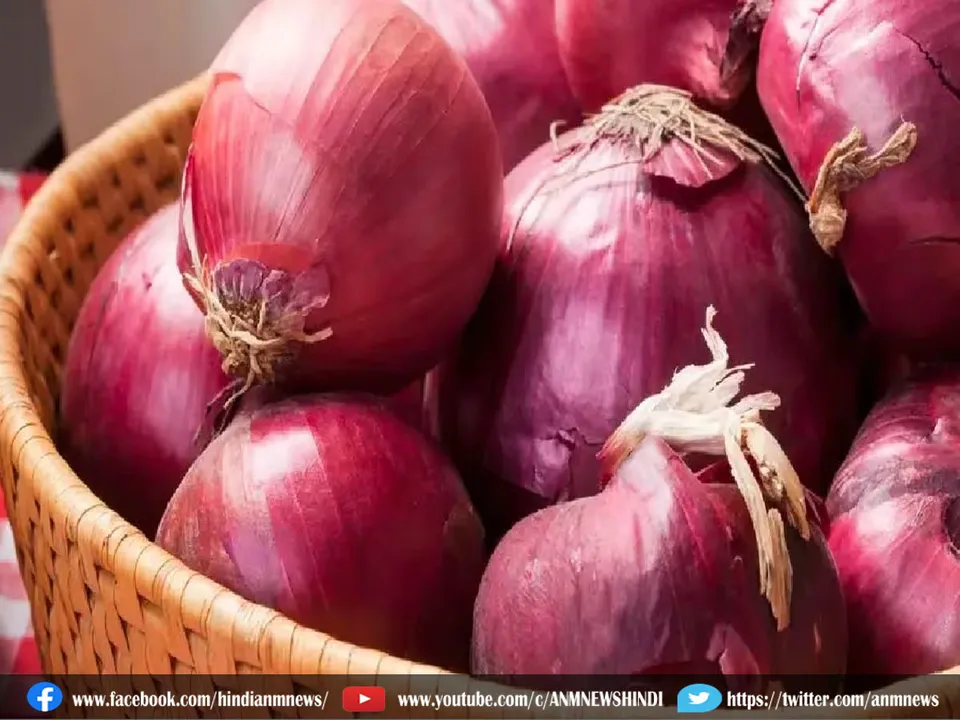 onion