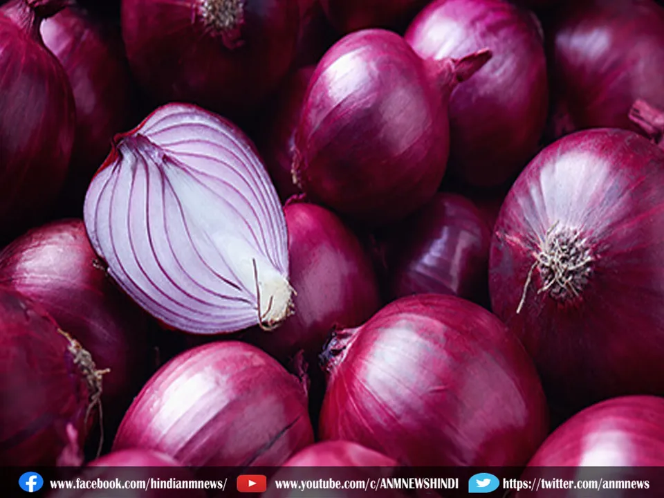 onion