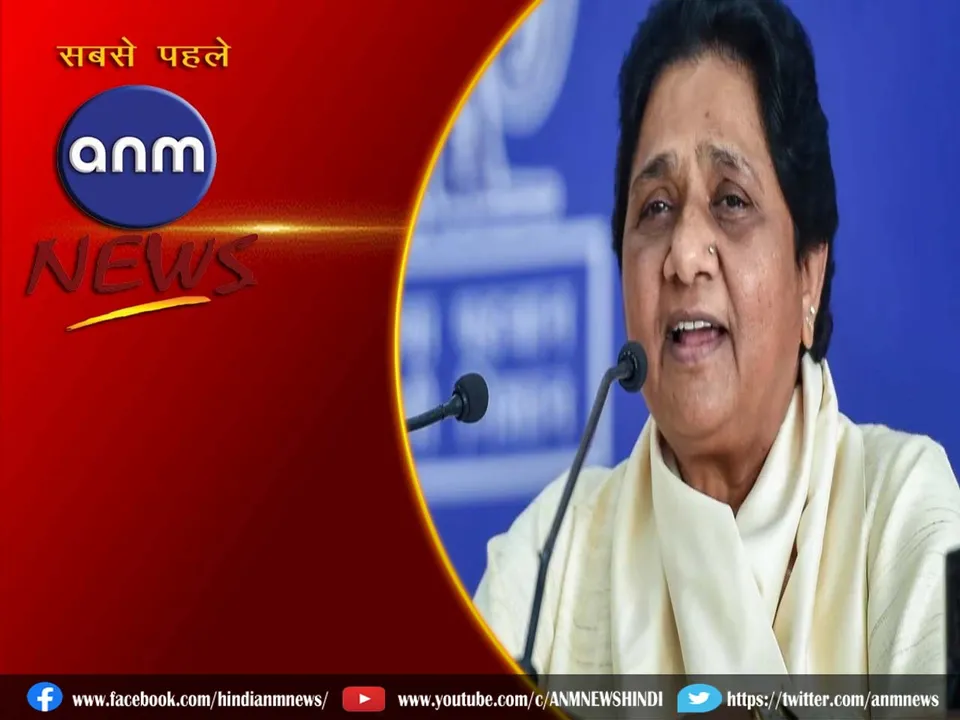 bsp comditad