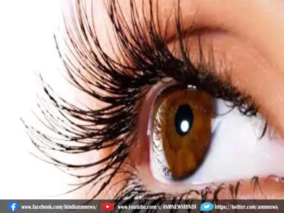 eyes in