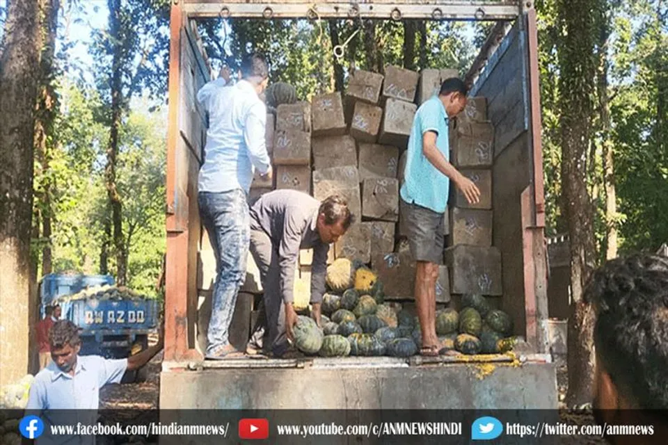 बंगाल में फिल्मी हथकंडों का इस्तेमाल करके लकड़ियों की तस्करी