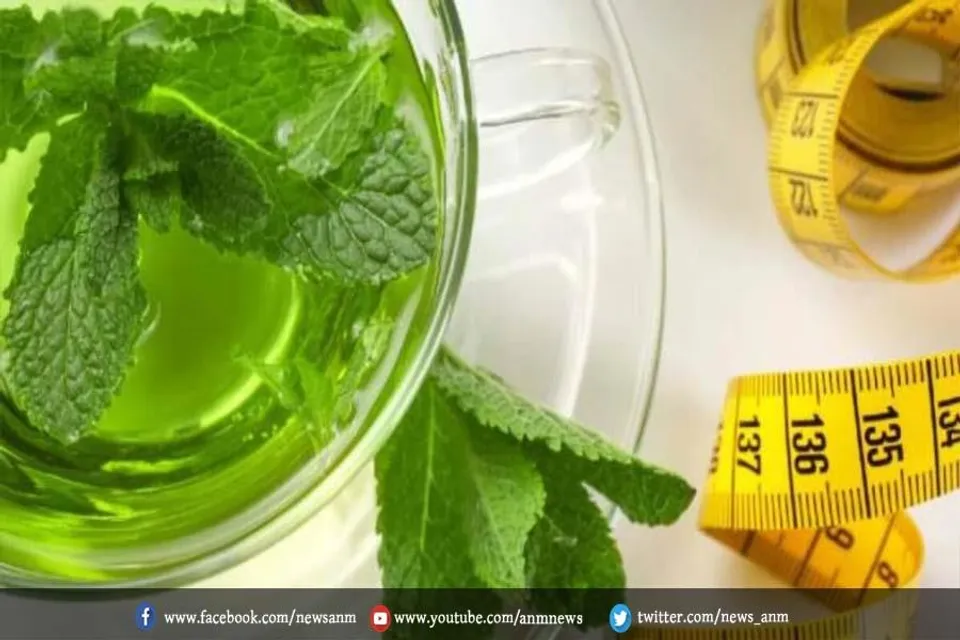 पुदीने का पानी वजन घटाने में मददगार