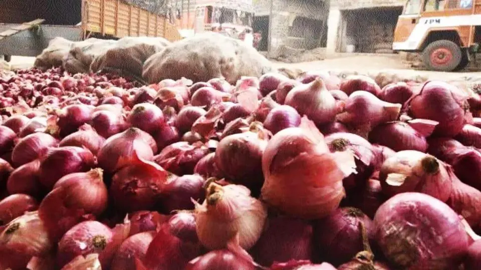 अमेरिका में प्याज खाने के बाद 650 से अधिक लोग बीमार