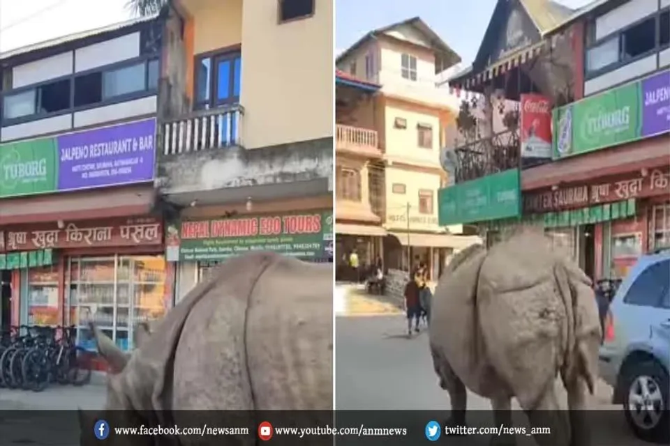 VIDEO : नहीं देखा होगा ऐसा नजारा