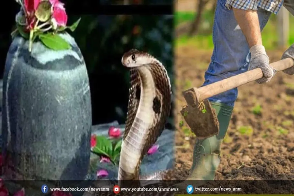 आज नाग पंचमी के दिन न करें ये काम