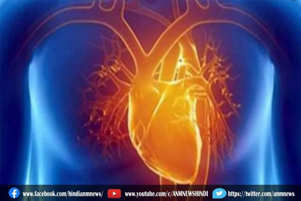 धमनियों में दिल की बीमारी के संकेत