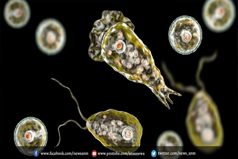 धरती पर फैल सकता है विचित्र जीव का कहर