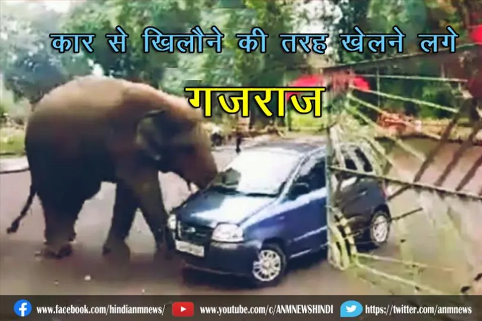 पार्किंग में खड़ी कार से खिलौने की तरह खेलने लगे गजराज (देखिये वीडियो)