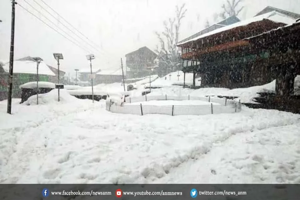 संदकफू में वर्तमान सर्दियों की पहली बर्फबारी हुई