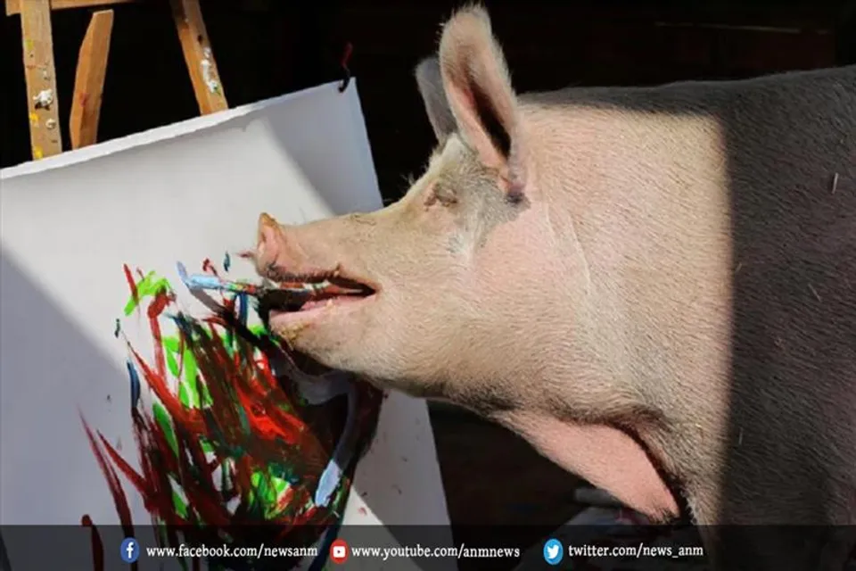 पेंटिंग बनाकर लाखो कमाने वाला सूअर