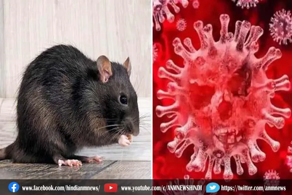 चीनी शोधकर्ताओं द्वारा ओमिक्रॉन पर नई खुलासा