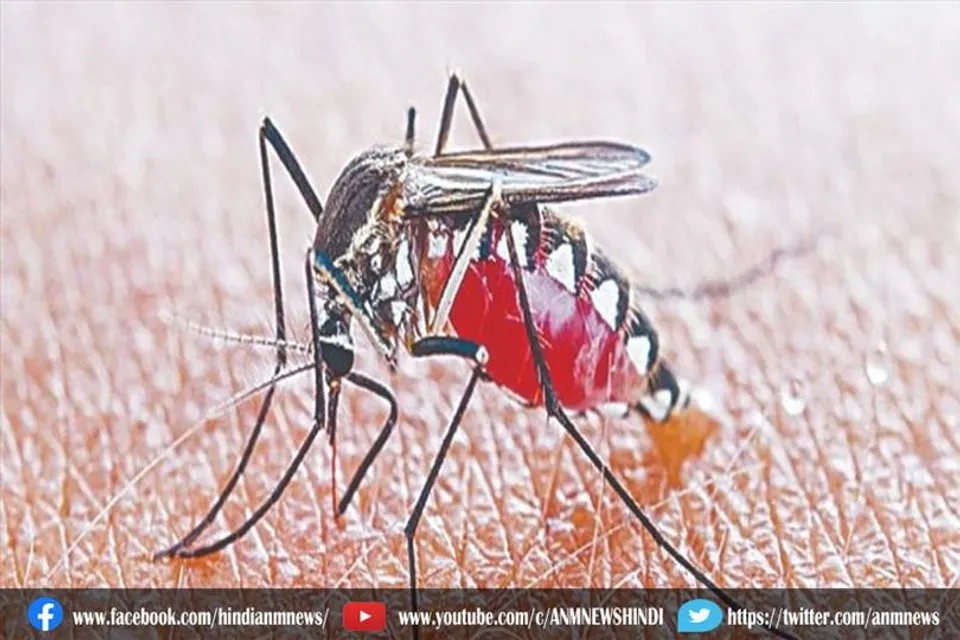 दिल्ली में डेंगू का आतंक