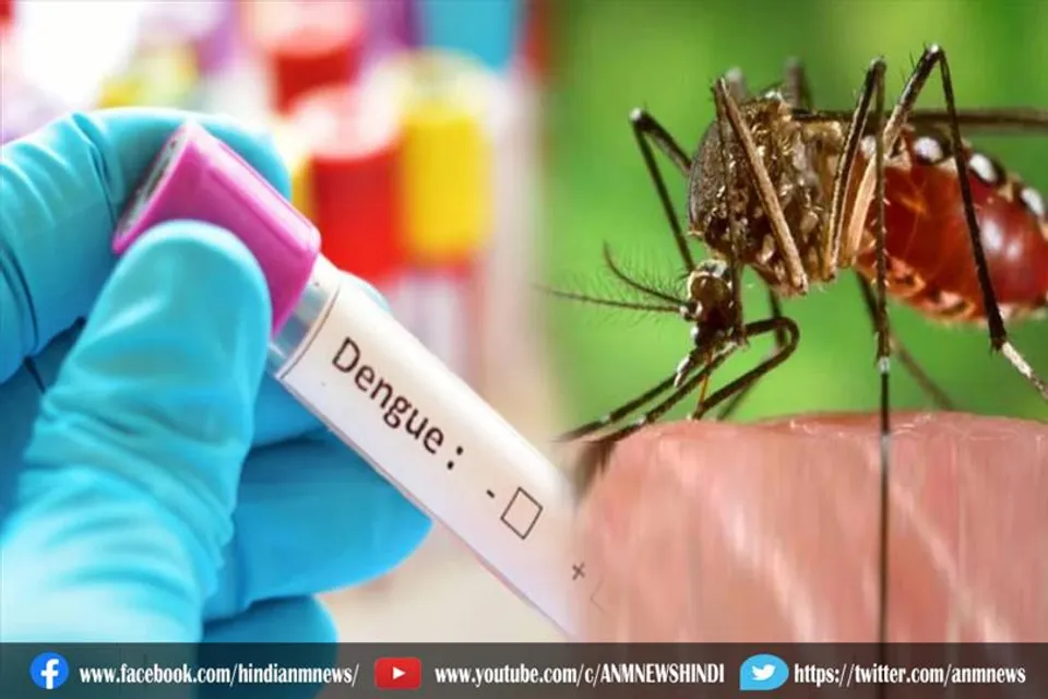 डेंगू और बुखार से 21 लोगों की मौत