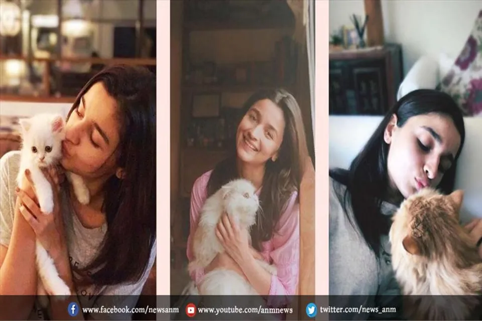 आलिया बनीं PETA पर्सन ऑफ द ईयर