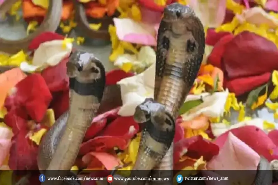 शुरू हो चुका है नाग पंचमी की पूजा का मुहूर्त