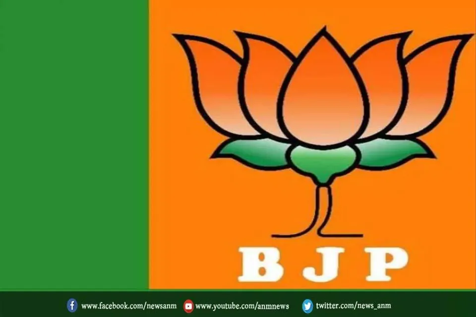 कर्नाटक में अकेले चुनाव लड़ेगी भाजपा