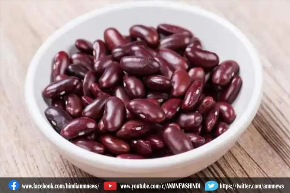 क्या आप जानते है राजमा को सबसे पहले कहां बनाया गया था?