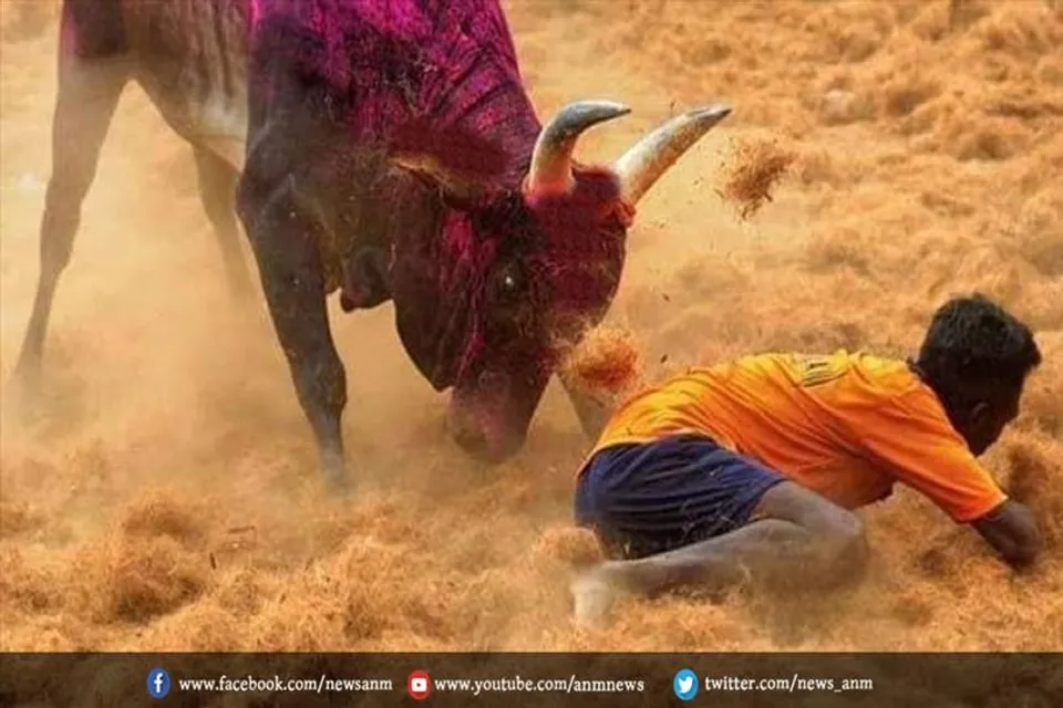 यूपी में सांड से जान गंवाने वाले लोगों को मिलेंगे 5 लाख रुपये: अखिलेश