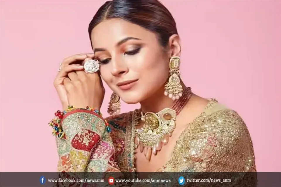 ये कैसी साड़ी पहनकर आ गईं शहनाज