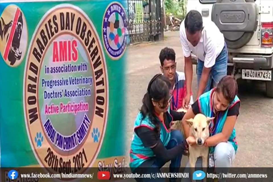 आवारा कुत्तों को रेबीज टीका लगाया गया