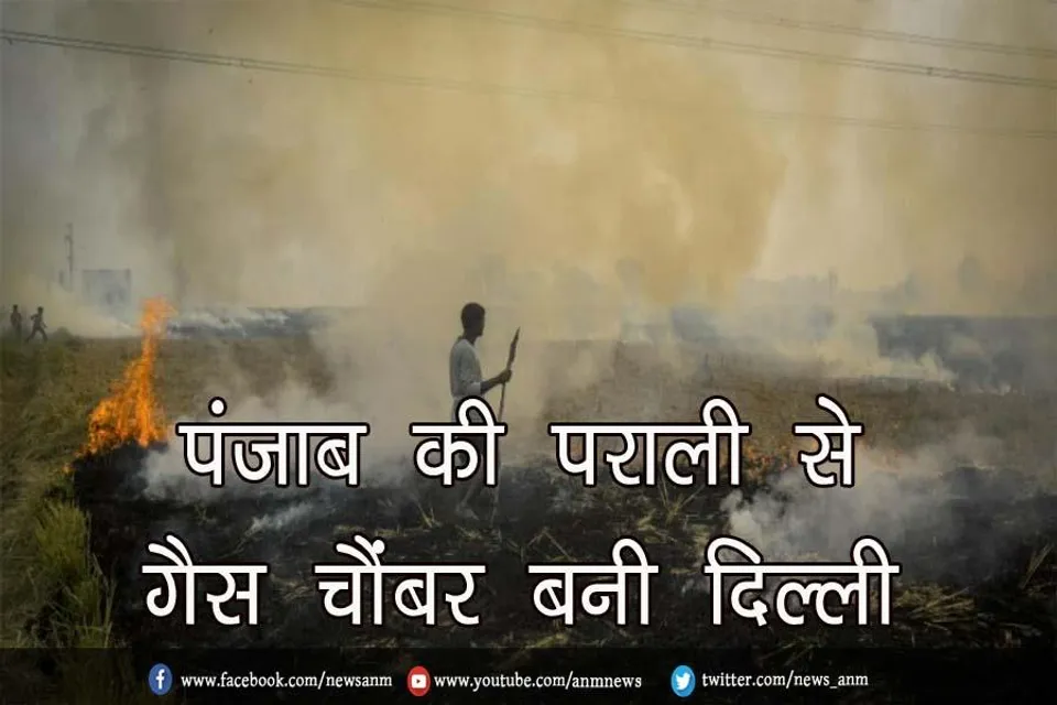 पंजाब की पराली से गैस चैंबर बनी दिल्ली