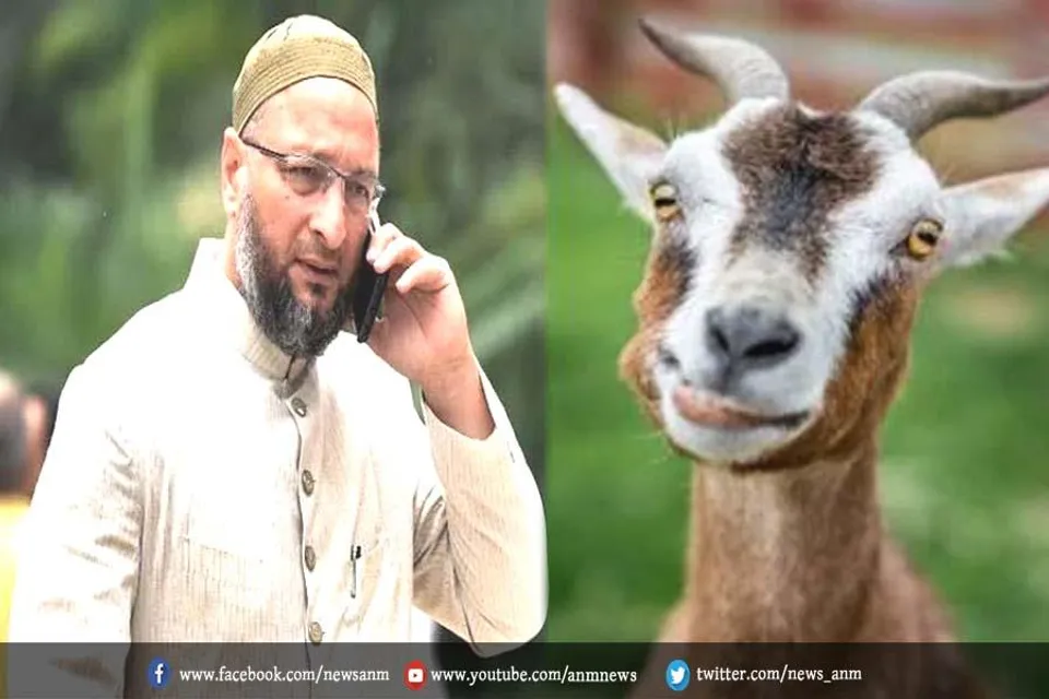 101 बकरों की कुर्बानी पड़ी भारी