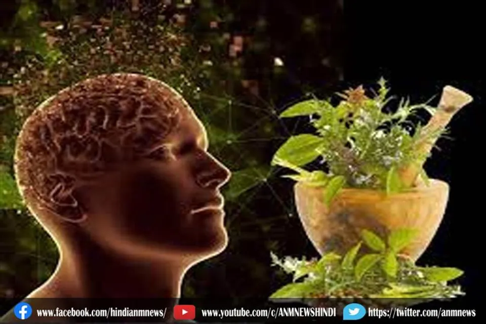 दिमाँगी रोगों से बचने का हल हैं ये 5 आयुर्वेदिक जड़ी-बूटी