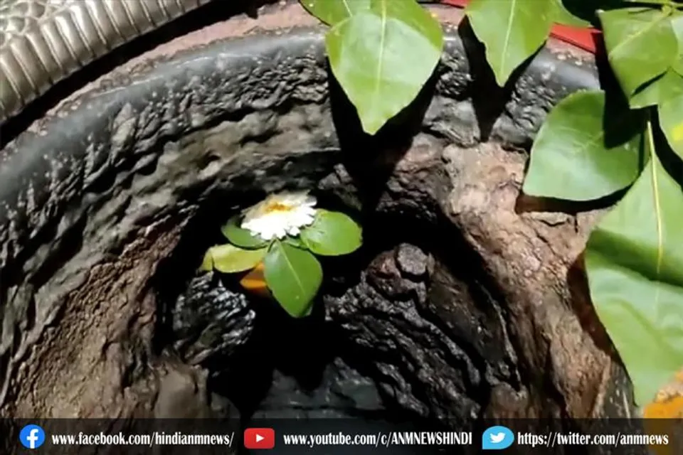 इकलौता मंदिर जहां होती है महादेव के अंगूठे की पूजा