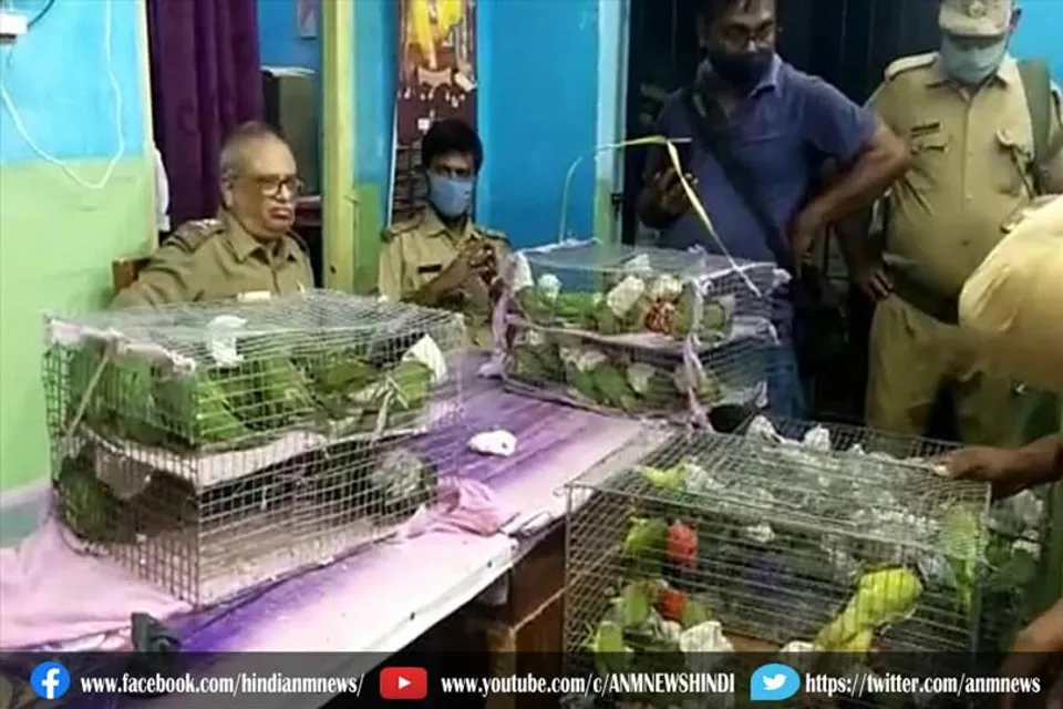 कोलकाता : फिर 124 तोते जब्त