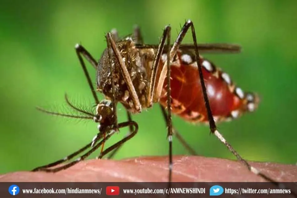 बढ़ता जा रहा है डेंगू का प्रकोप