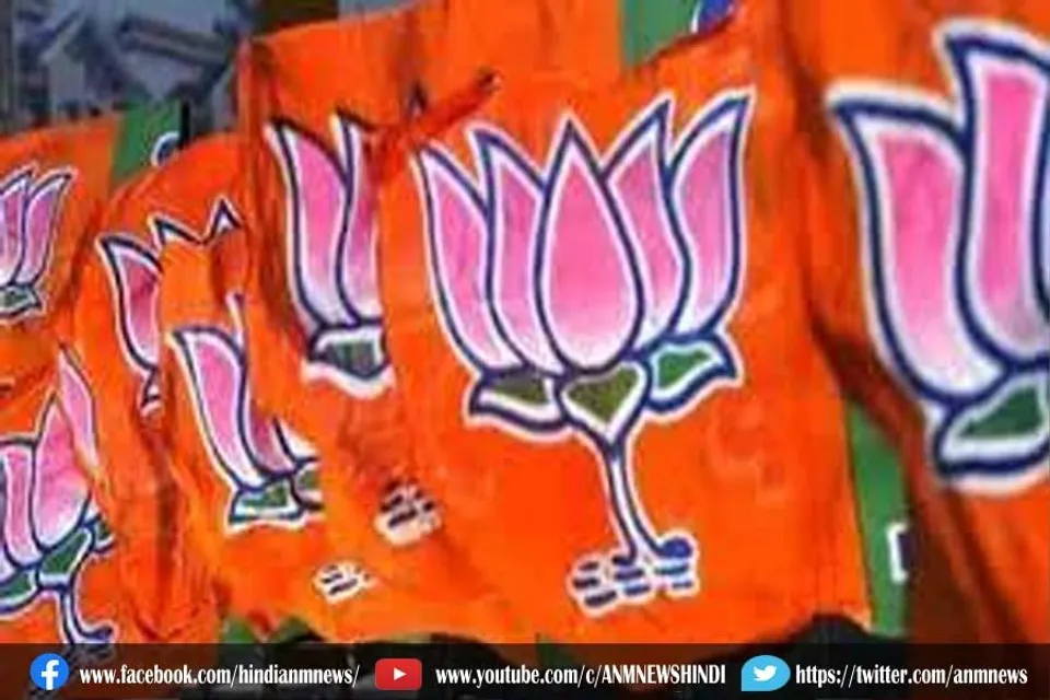 भाजपा का नगर निगम अभियान, देखें लाइव