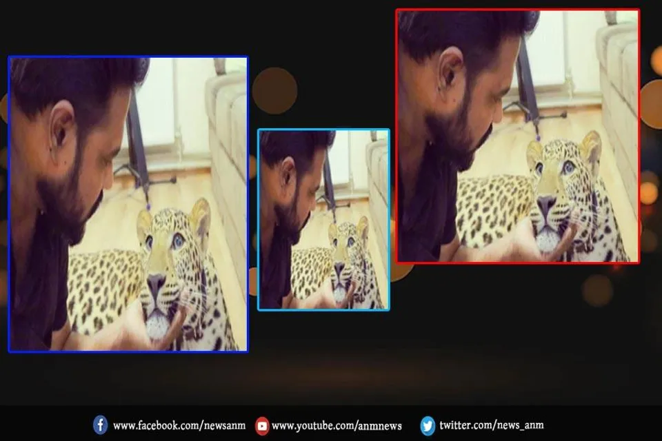 पालतू तेंदुए और जैगुआर के बिना यूक्रेन छोड़ने को तैयार नहीं भारतीय डॉक्टर