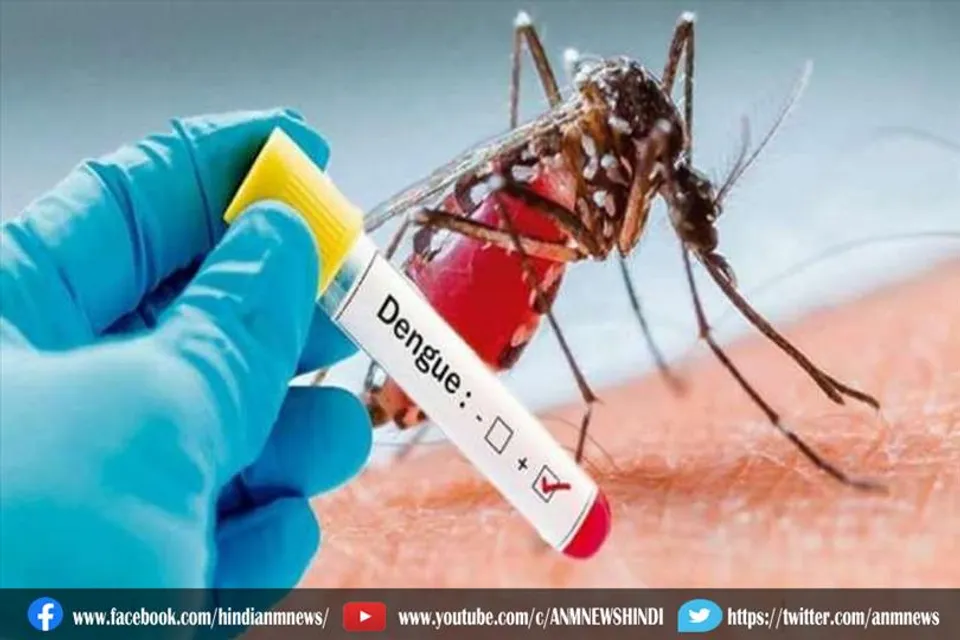 डेंगू से होने वाली मौतों में बढ़ोतरी