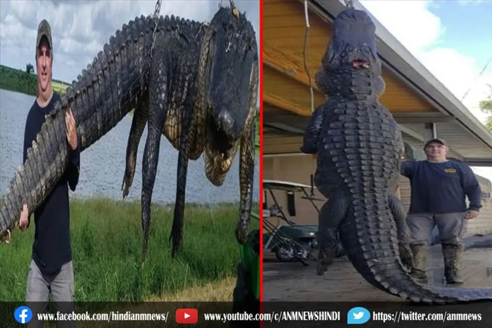 शख्स ने उड़ाई 13 फीट लंबे मगरमच्छ की दावत