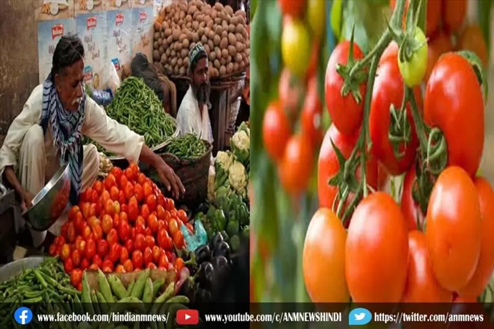 टमाटर की बढ़ती कीमतों से लोगों को अब मिलेगी राहत