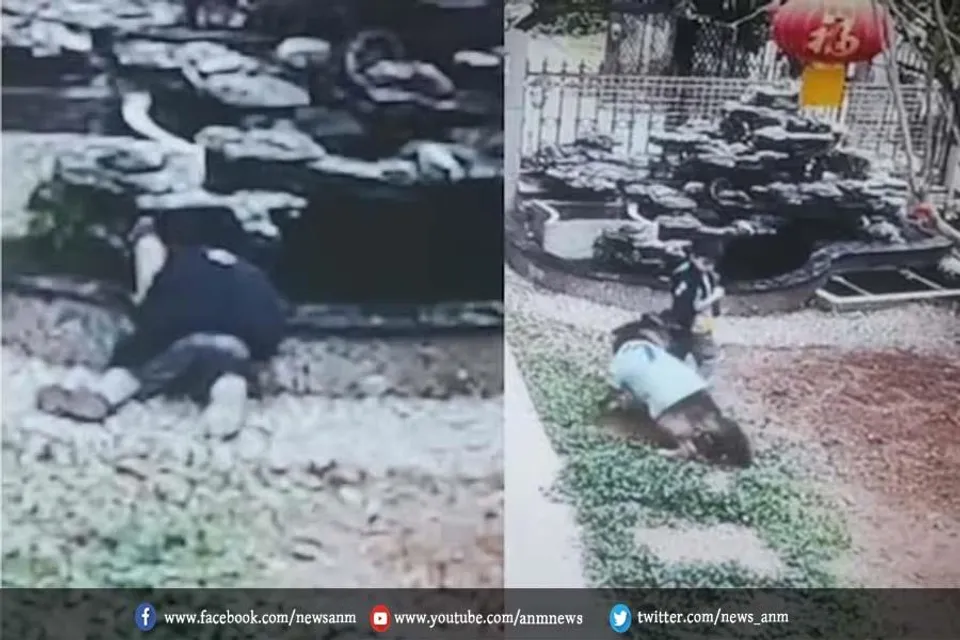 कुत्ते ने बचाई बच्चे की जान