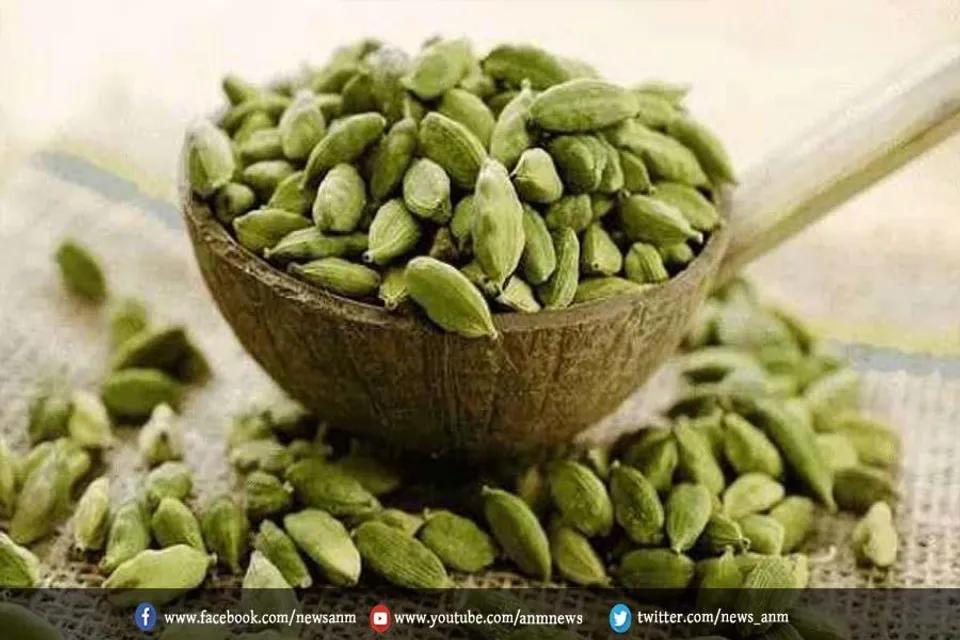 इलायची का उपयोग