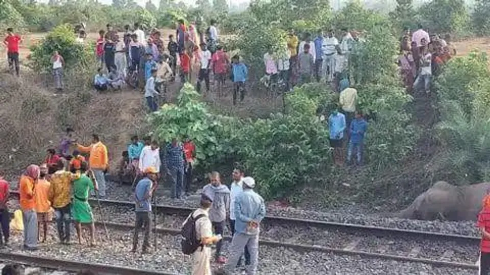 मालगाड़ी के साथ हाथी का टक्कर, डिब्बे का एक्सल टूटा