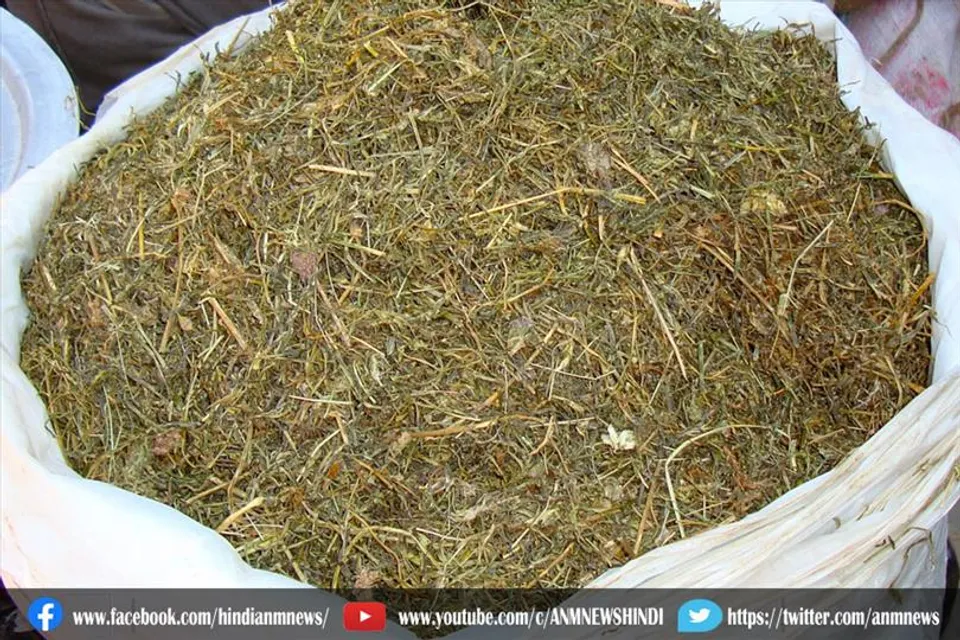 जानिए क्या है उत्तराखंड में पाई जाने वाली एक दुर्लभ रत्न